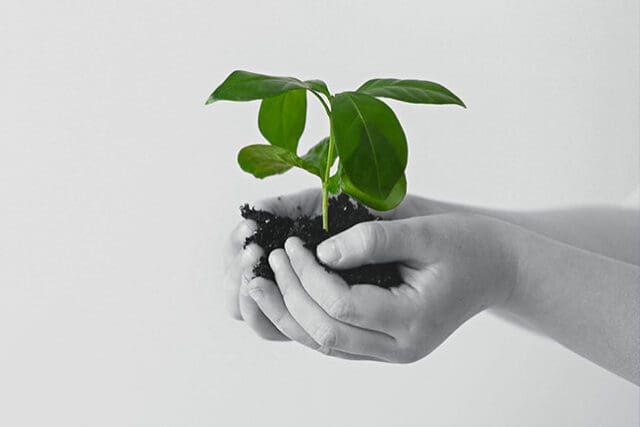 spiritual growth assessment