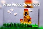 video-david