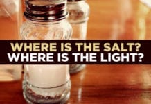 Where Is the Salt? Where Is the Light?