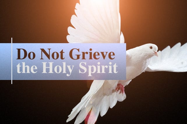 grieve the holy spirit