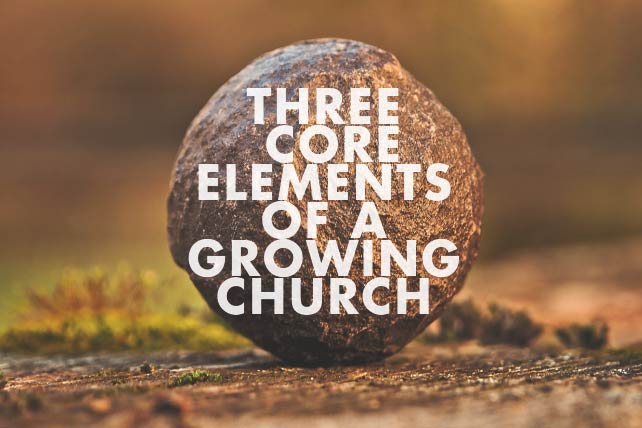 Core Elements of a Growing Church