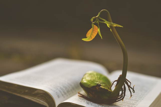 How to Experience a Breakthrough in Your Church’s Growth