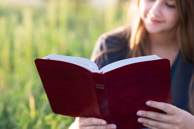 Teens How to Read the Bible