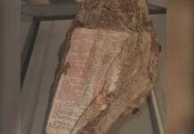 The Bible Found at Ground Zero and the Verse It Opened To World Trade Center Bible
