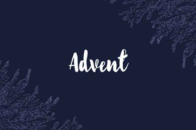 Looking For Advent Resources For Your Family?