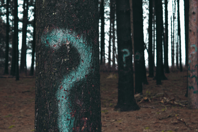 18 Questions About Faith and Mental Illness
