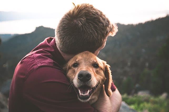 Cena Gospel: O Clube dos Detetives e o rapto dos animais de estimação