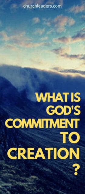 God's commitment to creation