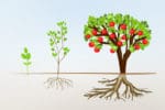 9.10-Framework-Personal-Development