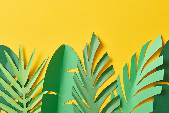 palm sunday activities