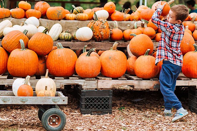 Fall Crafts for Sunday School - Autumn Themed Ideas - Ministry-To-Children Bible  Crafts for Children's Ministry, Halloween, Thanksgiving