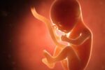 unborn