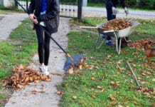 Thanksgiving Youth Group Activities: 8 Ideas for Teens Thanksgiving youth group