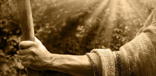youth ministry malpractice