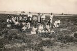 mexican farmworkers