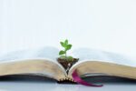 cultivating spiritual maturity
