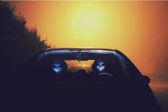 Are Aliens, UFOs Real? Astrophysicist Reveals Why These ‘Terrifying