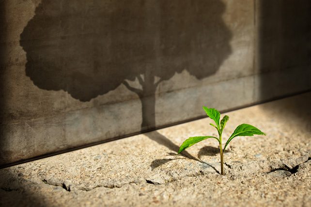 myths about church growth