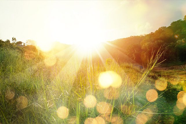 light
