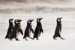virtuous traits of a leader who people want to follow
