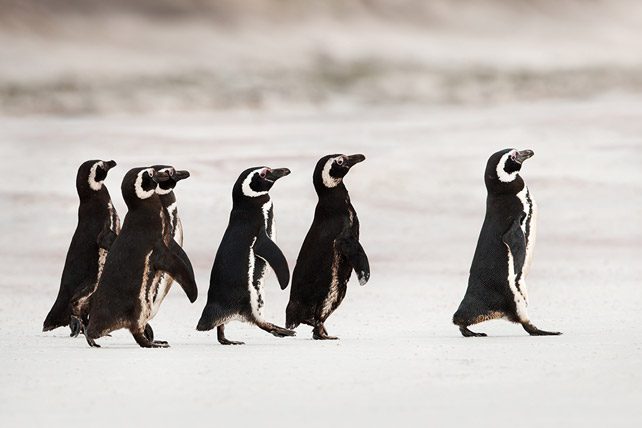 virtuous traits of a leader who people want to follow