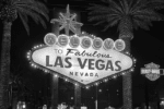 David McGee Las Vegas