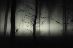 embrace mystery