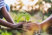 Creation Care and the Gospel: A Letter to the Lausanne Theology Working Group Lausanne and Creation Care