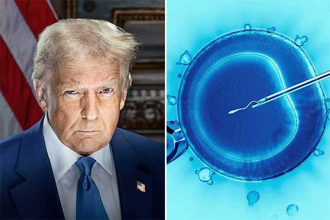Donald Trump IVF