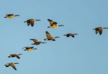 Leading Difficult People – It Can Be Done! leading difficult people