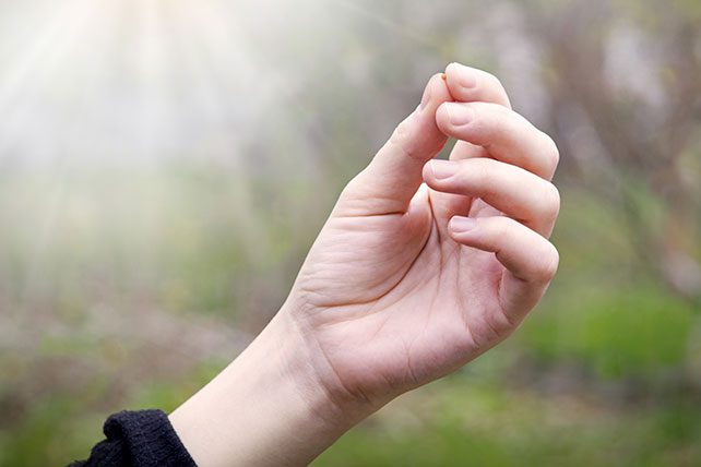 parable of the mustard seed
