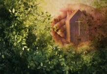 How Churches Grow Without Gimmicks or Burnout healthy church culture