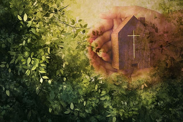 healthy church culture