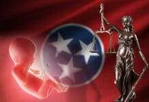 As Tennessee Bill Presses for Executing Women for Abortions, Pro-Life Advocates Debate Capital Punishment Tennessee abortion bill