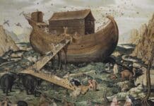 New Noah’s Ark Discovery ‘Is Not Legit,’ Says Apologist Wesley Huff Noah's Ark