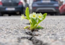 Aftershock: Most Pastors Are Rebuilding on Cracked Ground and Don’t Know It aftershock