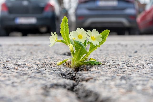 Aftershock: Most Pastors Are Rebuilding on Cracked Ground and Don’t Know It
